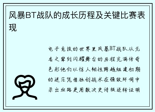 风暴BT战队的成长历程及关键比赛表现